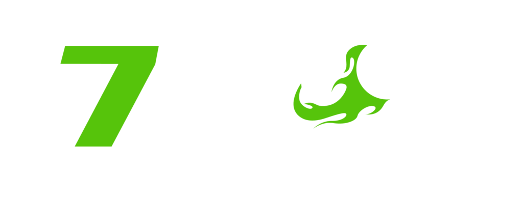 7mivn6.net